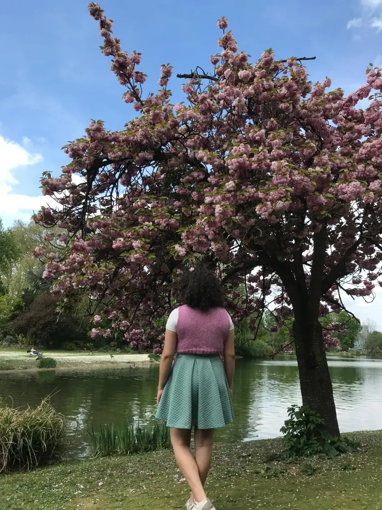Brume rosée 2.webp