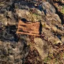 cache cou vert (rocher).webp