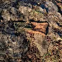 cache-cou vert + marron (rocher).webp
