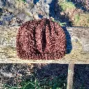 Bonnet marron (banc).webp