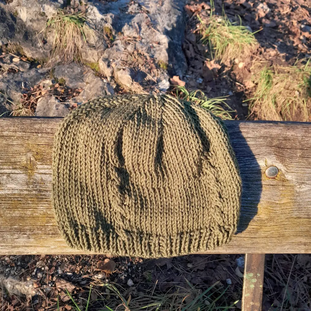 Bonnet vert (banc).webp