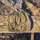 Bonnet vert (banc).webp