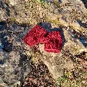Mitaines (rochers).webp