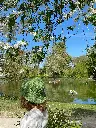 Ombre sylvestre 5.webp
