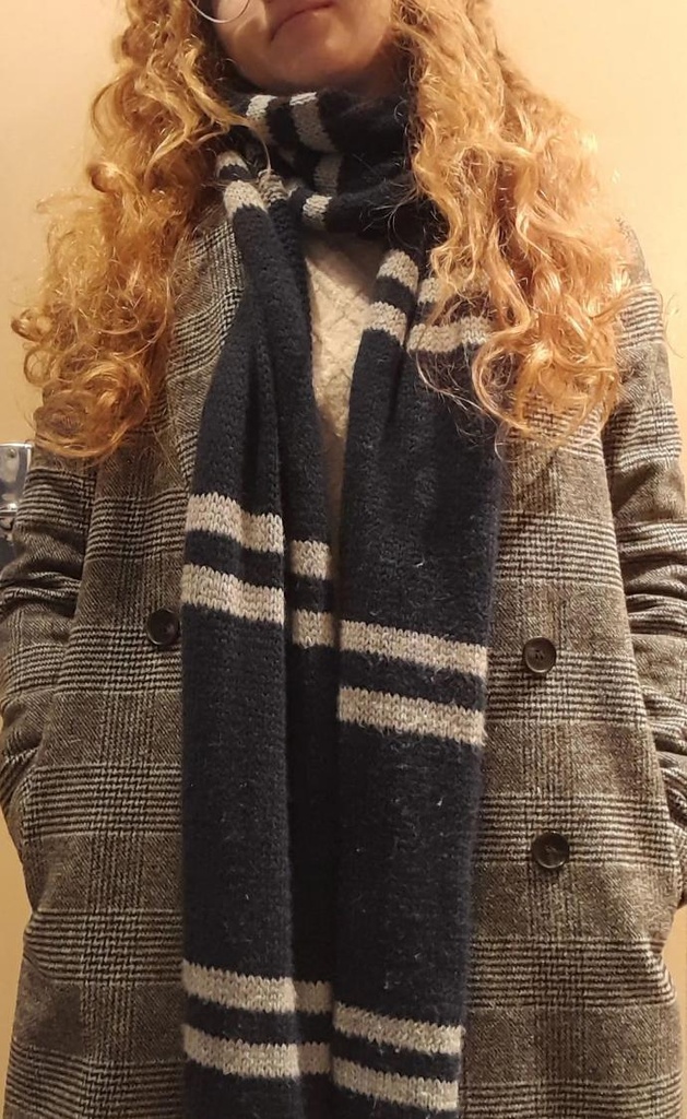 Echarpe Harry Potter
